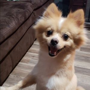 Meet your Posher, Susana